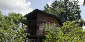 Отель Sigiri Forest View  Сигирия